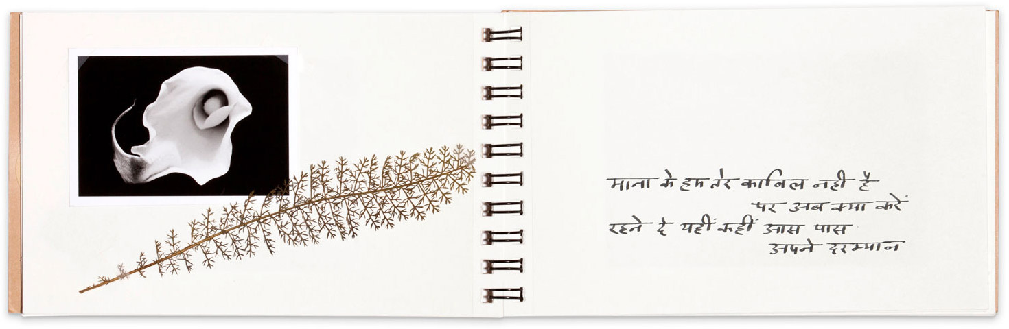 diary.page.flower.poem.photo.memory.jpg